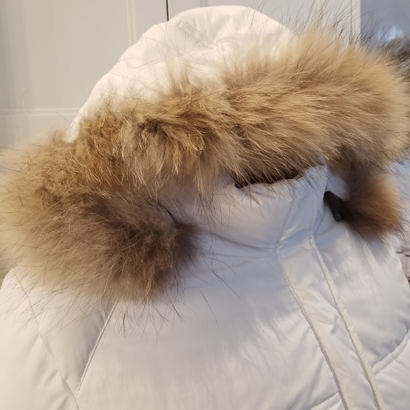 Wanko down coat Med - Picture 13 of 16